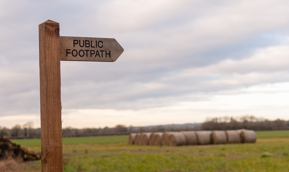 Countryside Walking Tips: Safety Around Livestock