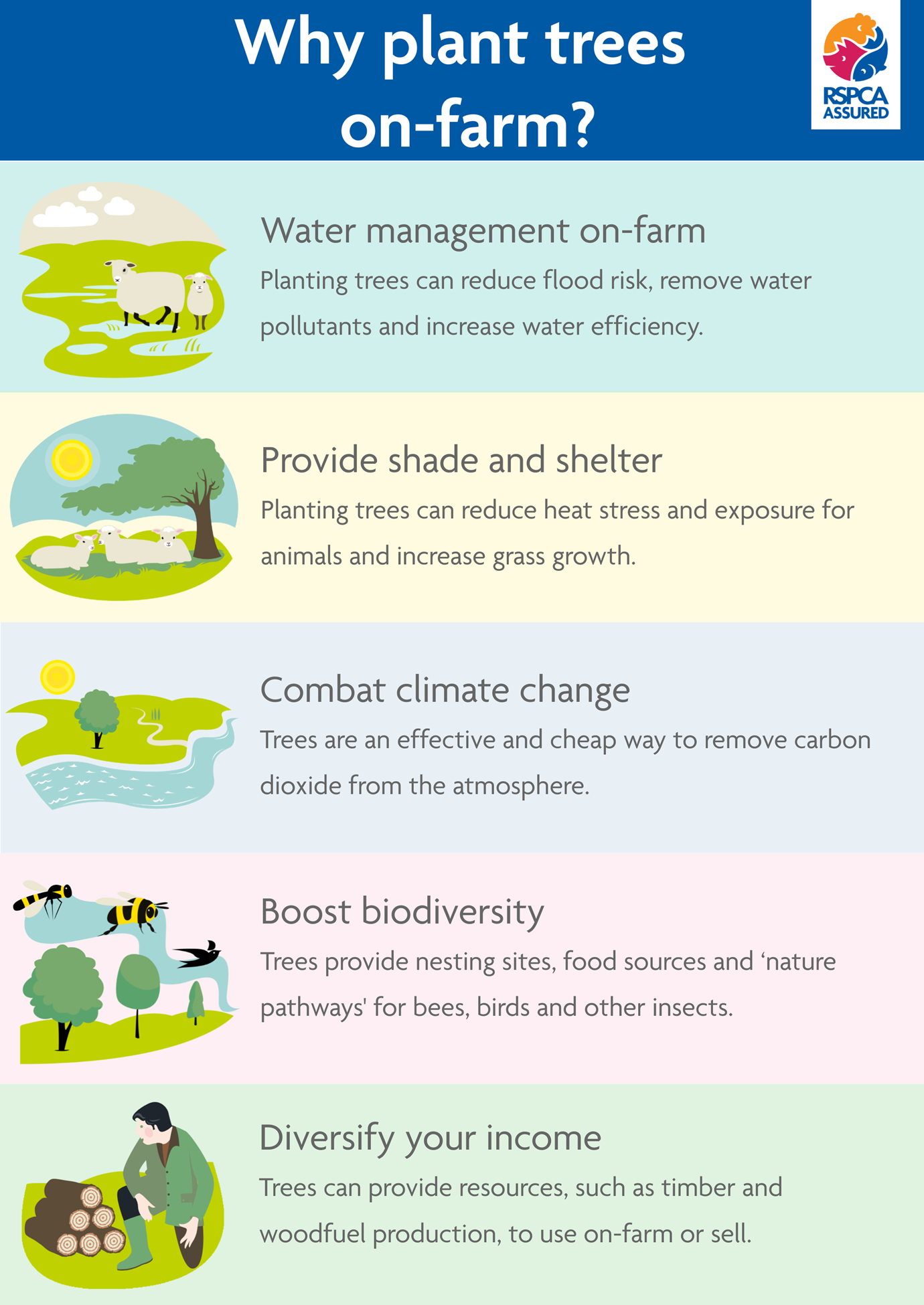 a-guide-to-planting-trees-on-your-ruminant-farm