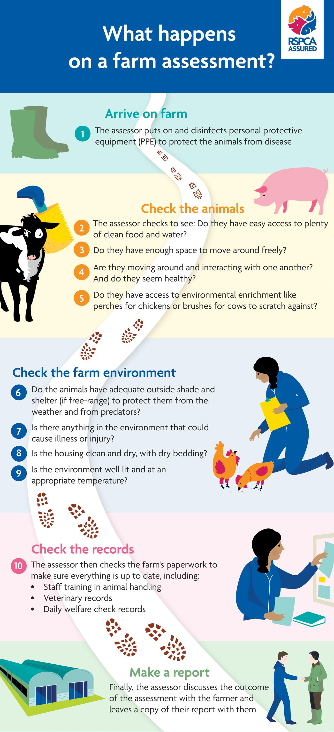 farm-assessments-on-the-rspca-assured-scheme